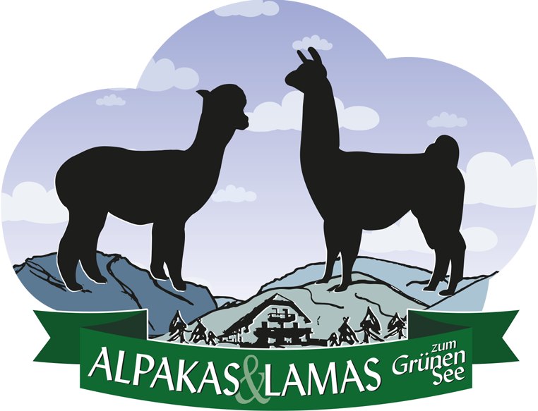 Alpakas und Lamas zum Grünen See